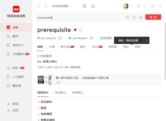 网易有道词典pc去广告精简版