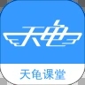 天龟课堂app下载