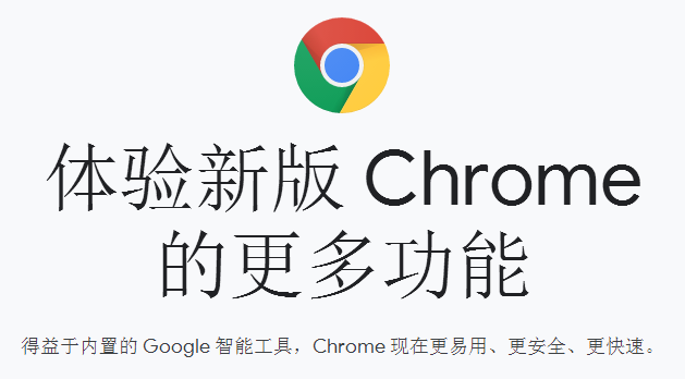 谷歌浏览器pc精简版下载截图1