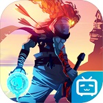 死亡细胞无敌精简版