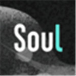 soul内购精简版