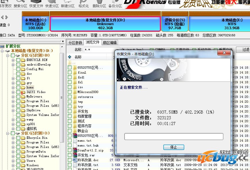 DiskGenius专业精简版下载