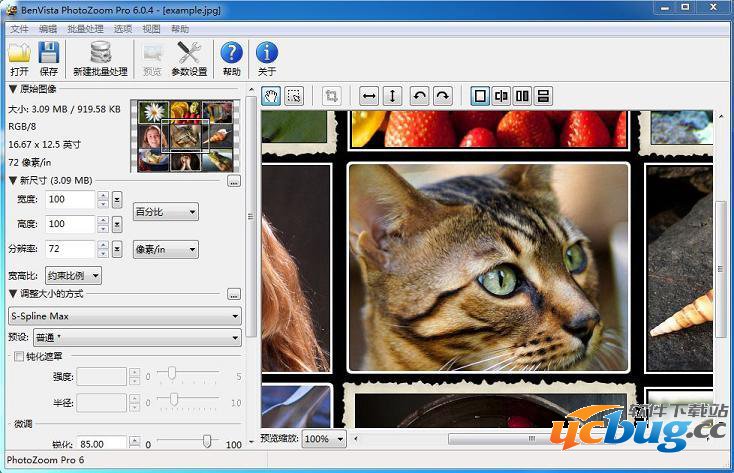 PhotoZoom Pro精简版下载