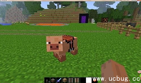 《我的世界》猪怎么驯服