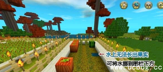 《迷你世界》南瓜怎么种植