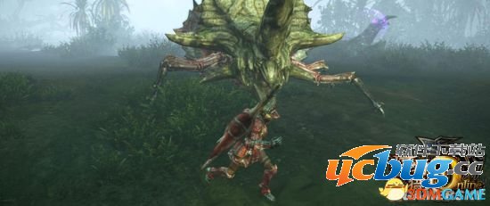 《怪物猎人OL》究极美味料理任务打什么怪