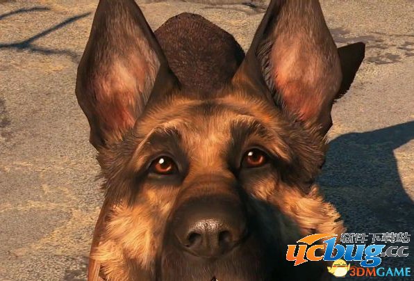 《辐射4》怎么增强队友战斗力及队友无限子弹方法