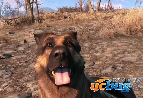 《辐射4》主机版狗肉复制翻倍刷子弹方法有哪些