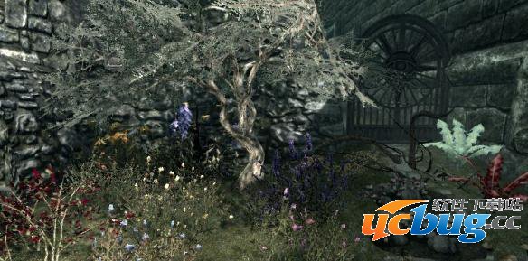 《上古卷轴5天际》植物控制台代码大全