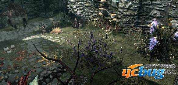 《上古卷轴5天际》植物控制台代码大全