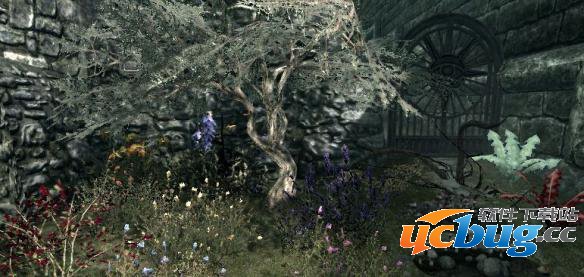 《上古卷轴5天际》植物控制台代码大全