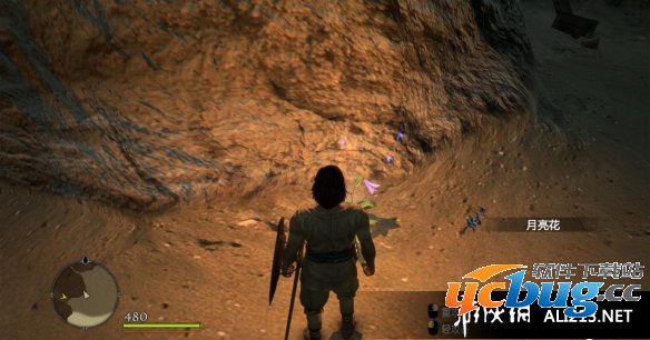 《龙之信条黑暗崛起》中月亮花如何获得及阴阳之花支线任务做法