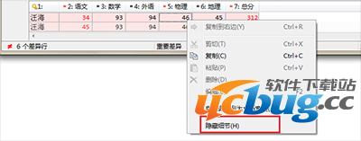 Beyond Compare隐藏文本细节怎么使用？