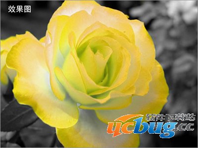 用彩影图像处理软件怎么制作变色效果？