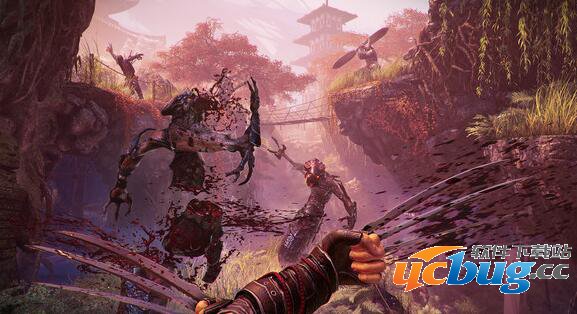 《影子武士2》豪华版和普通版有什么区别