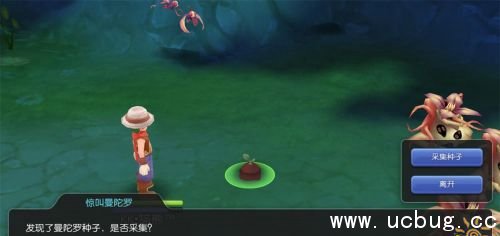《仙境传说ro》手游曼陀罗种子怎么获得