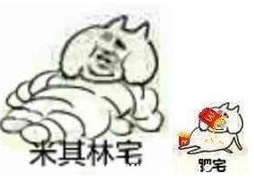 网络热词"肥宅"是什么意思你