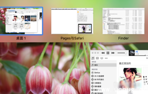《macOS》分屏功能怎么使用