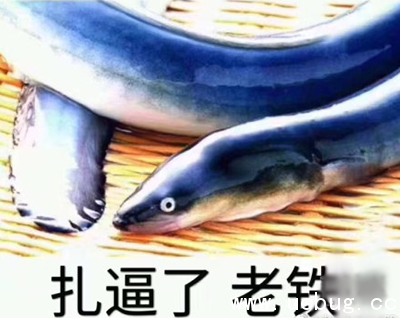 网络热词"黄鳝是什么梗" 黄鳝女主播事谁
