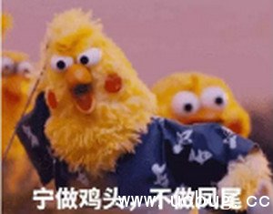 《倩女幽魂》怎么卡级 《倩女幽魂》怎么卡级