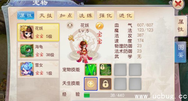 《道王手游》宠物怎么获得