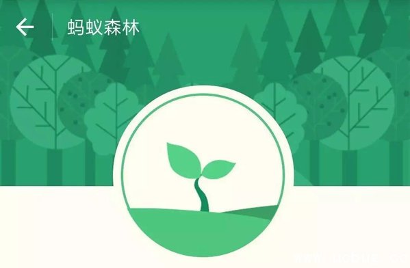 《小米手环》步数怎么同步到支付宝