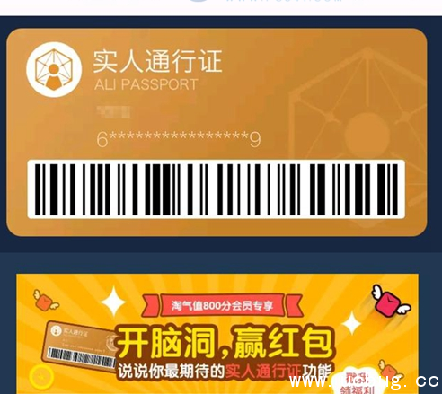 《淘宝》实人通行证怎么办理 《淘宝》实人通行证怎么办理