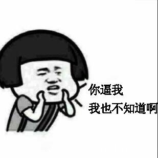 《梦幻西游手游》月宫门派有哪些角色