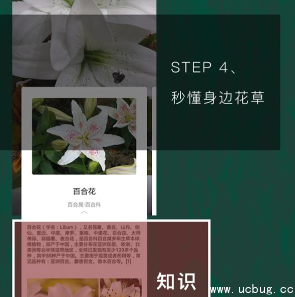 《手机QQ浏览器》怎么识别花草