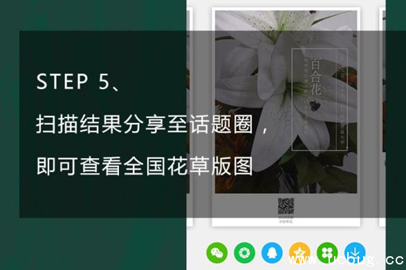 《手机QQ浏览器》怎么识别花草