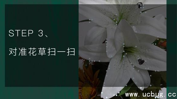 《手机QQ浏览器》怎么识别花草