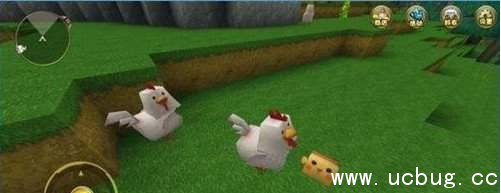 《迷你世界》怎么引鸡 《迷你世界》怎么引鸡