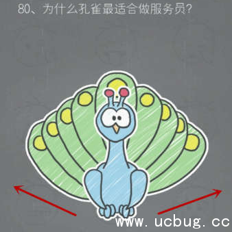 《史小坑的烦恼2》第八十关答案是什么 《史小坑的烦恼2》第八十关答案是什么