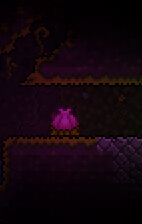 《泰拉瑞亚》世纪之花怎么打