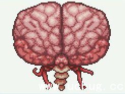 《泰拉瑞亚》克苏鲁之脑怎么打