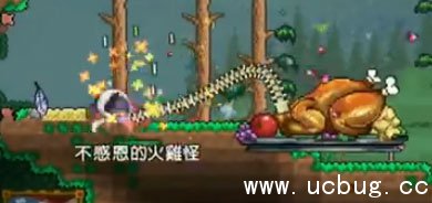 《泰拉瑞亚》火鸡王怎么打