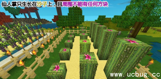 《迷你世界》仙人掌怎么用
