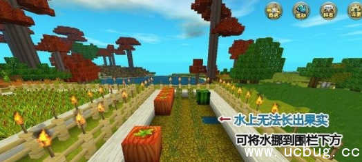 《迷你世界》南瓜有什么用