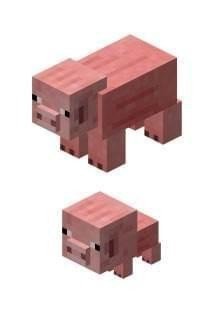 我的世界怪物图鉴大全集