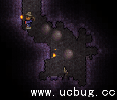 泰拉瑞亚邪恶荆棘