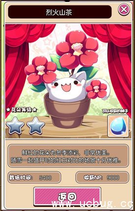 猫咪花盆烈火山茶