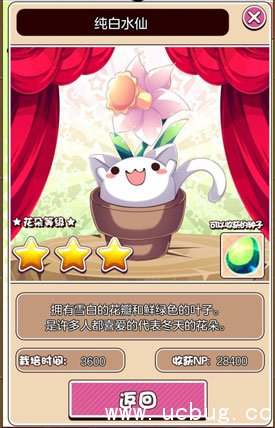 猫咪花盆纯白水仙