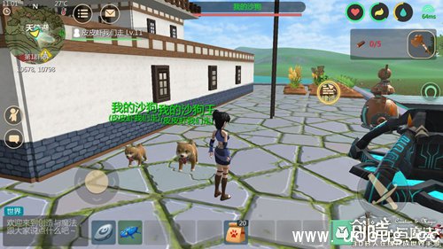 创造与魔法狗在哪 狗怎么捕捉