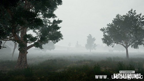 绝地求生大逃杀雾天