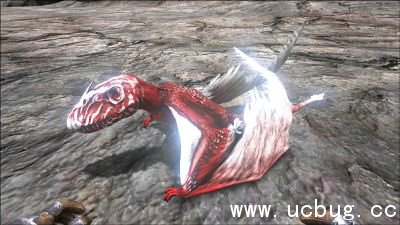 方舟生存进化双型齿翼龙