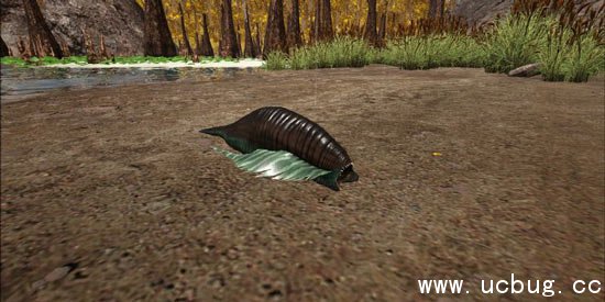 方舟生存进化水蛭怎么弄下来