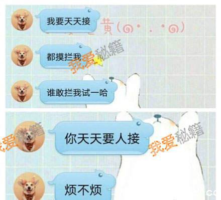 延禧攻略大猪蹄子是什么梗_大猪蹄子什么意思