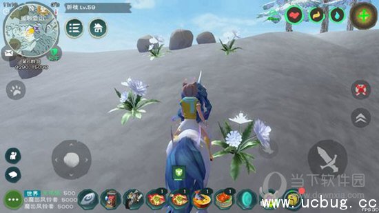 创造与魔法小白花在哪